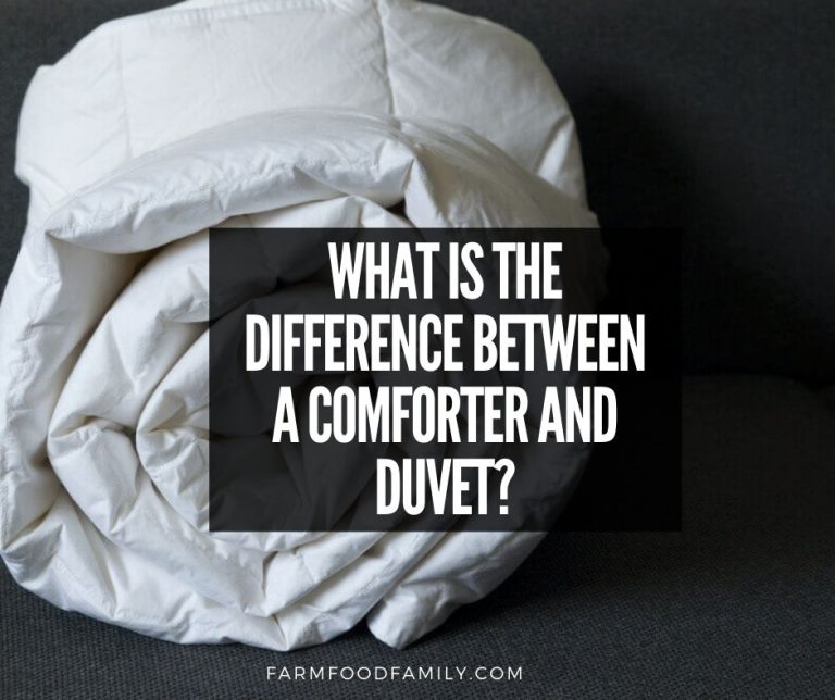 Comforter vs Duvet Which is Better? (Differences, Pros and Cons)