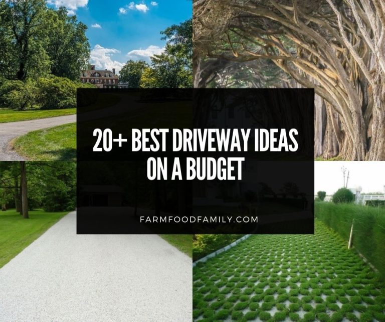 20+ Best Driveway Ideas and Designs On A Budget (With Pictures) 2024