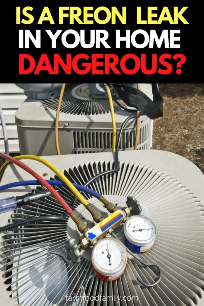 Is A Freon Leak In Your Home Dangerous? [How To Detect & Prevent]