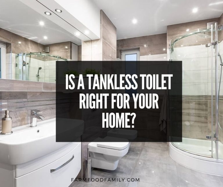 Tankless Toilets Reviews (2024), Cost, Pros & Cons How They Work?