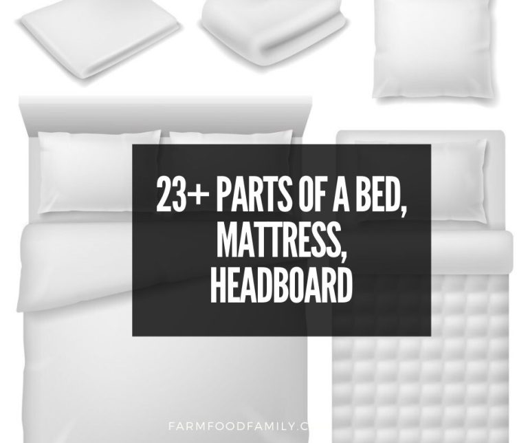 23+ Parts of a Bed, Bunk Bed, Headboard, Mattress (With Photos)