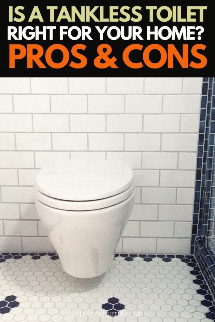 Tankless Toilets Reviews (2024), Cost, Pros & Cons How They Work?