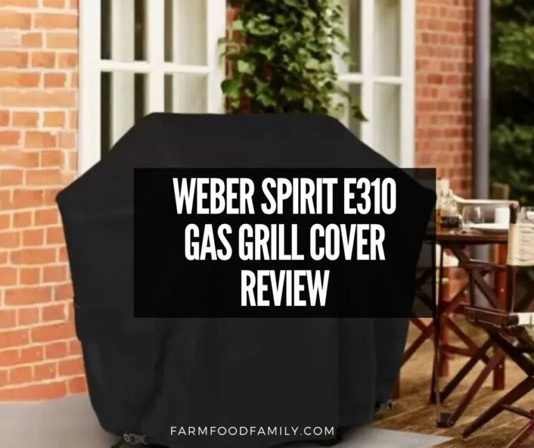 Know the best uses of Weber e310 cover and why you need to use it as a potent protection for your grill