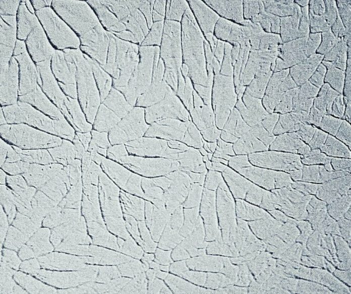 15+ Different Types of Wall Textures That You Need To Know (With Photos)