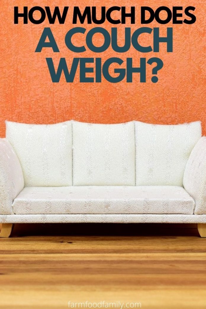 How Much Does a Couch Weigh? [By Type, Size, Sections]