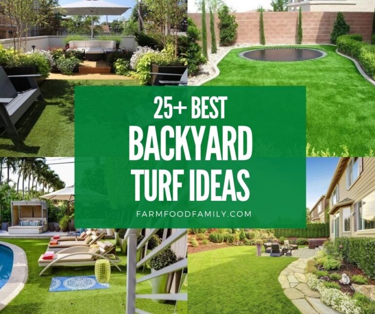 25+ Best Backyard Turf Ideas and Designs
