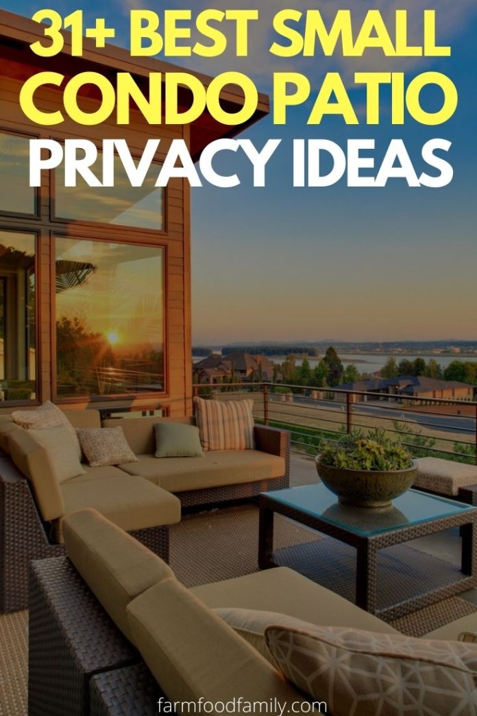 31+ Best Tiny Condo Balcony Patio Ideas & Designs For Privacy 2024