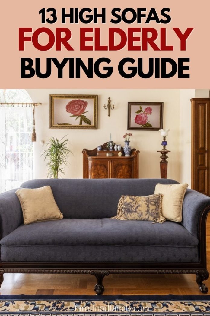 13 Perfect High Sofas for Elderly (2024) and Buying Guide