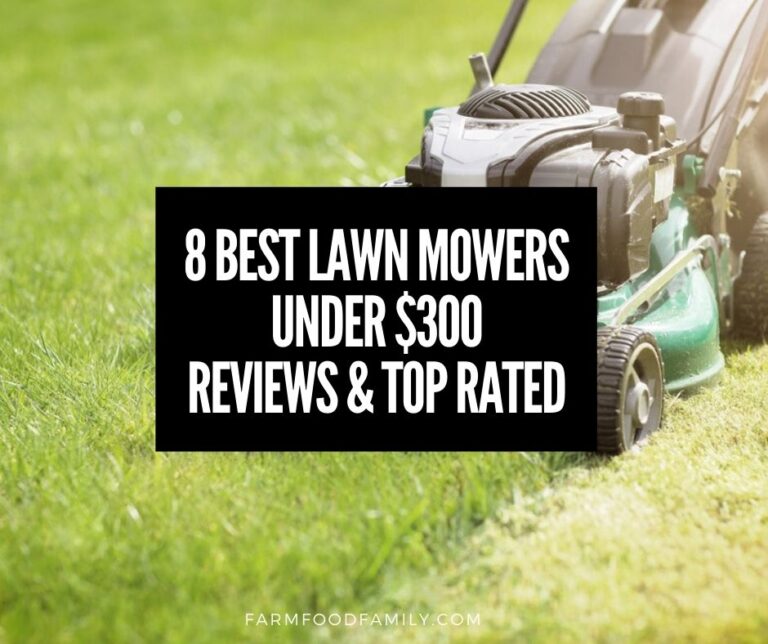 8 Best Lawn Mowers Under $300 Reviews On The Market and Buying Guide