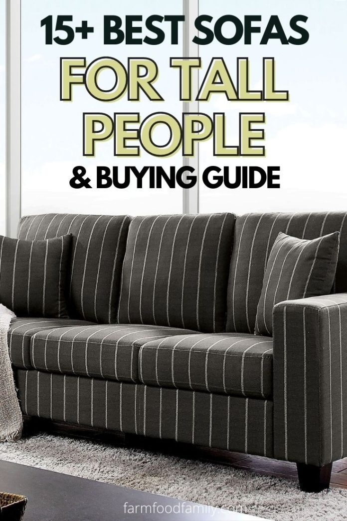 15 Best Sofas & Couches for Tall People and Buying Guide [2024 ]
