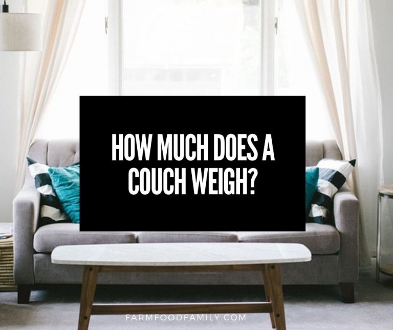 How Much Does a Couch Weigh? [By Type, Size, Sections]
