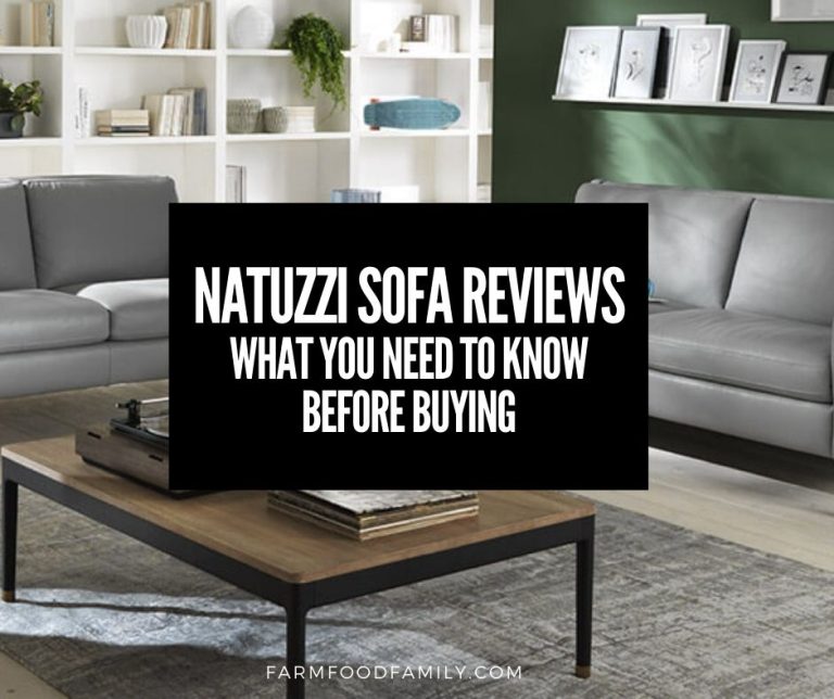 Natuzzi Sofa Reviews Quality, Price, Durability, Pros and Cons (2024)