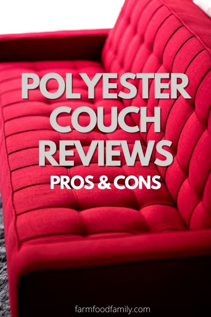 Polyester Couch Reviews Pros and Cons, Durability, Best Brands (2024)