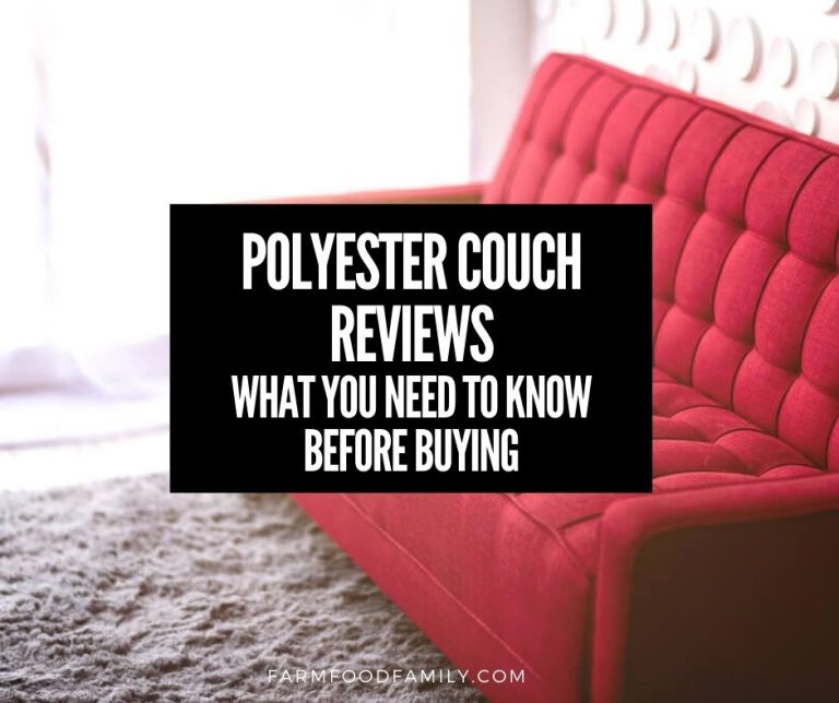 Polyester Couch Reviews Pros and Cons, Durability, Best Brands (2024)