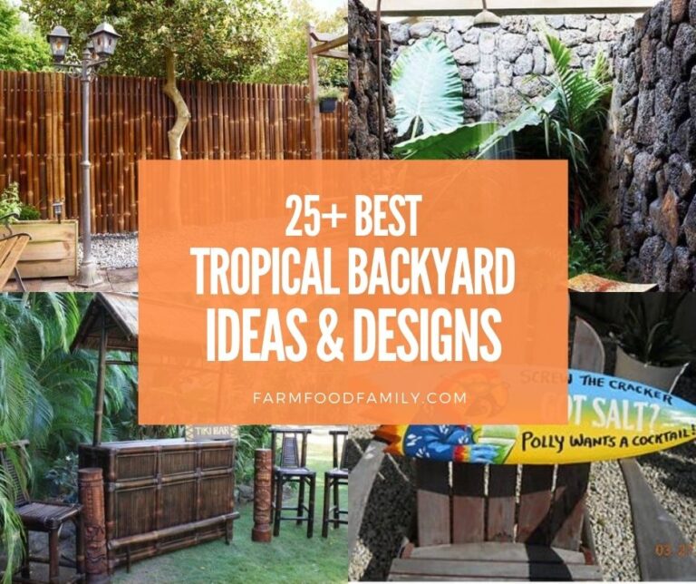 25+ Best Tropical Landscape Ideas and Designs For Small Yards