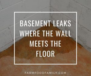 Why Basement Leaks Where The Wall Meets The Floor? - How To Fix