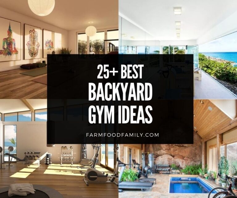 25+ Best Backyard Gym Ideas and Designs