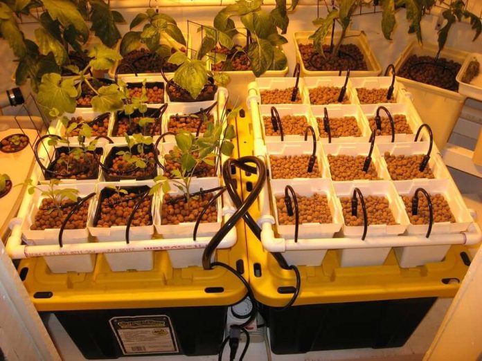 17+ Clever DIY Hydroponic System Plans & Designs For Beginners (2024)