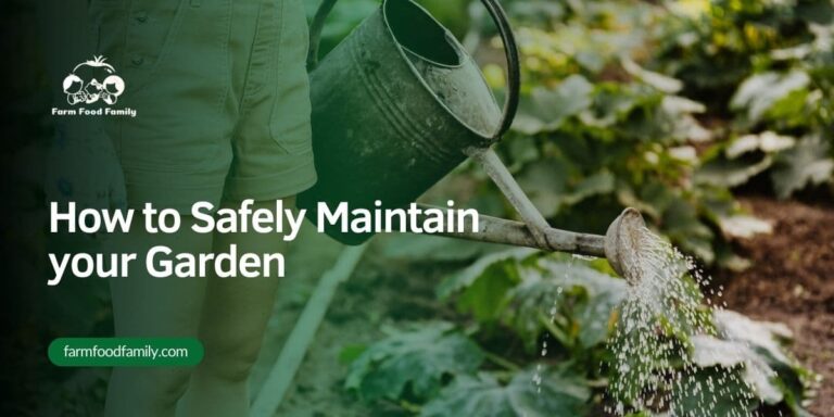 How to Safely Maintain your Garden
