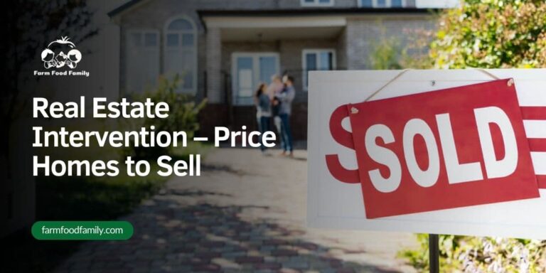 Real Estate Intervention – Price Homes to Sell