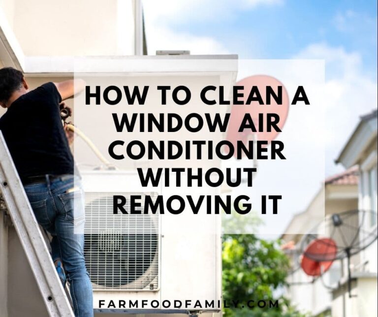 How To Clean A Window Air Conditioner Without Removing It