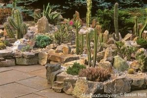 25+ Stunning Las Vegas Desert Backyard Landscaping Ideas On A Buget