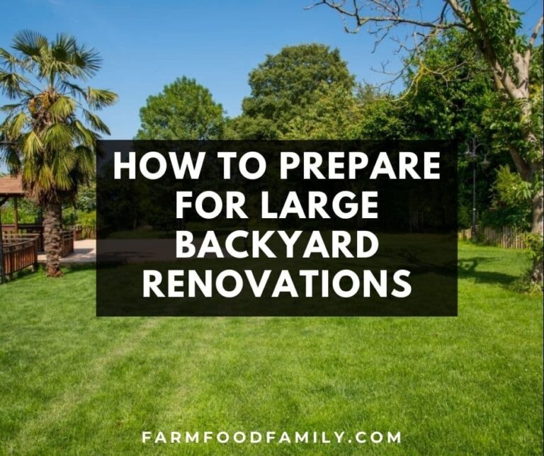 How to Prepare for Large Backyard Renovations