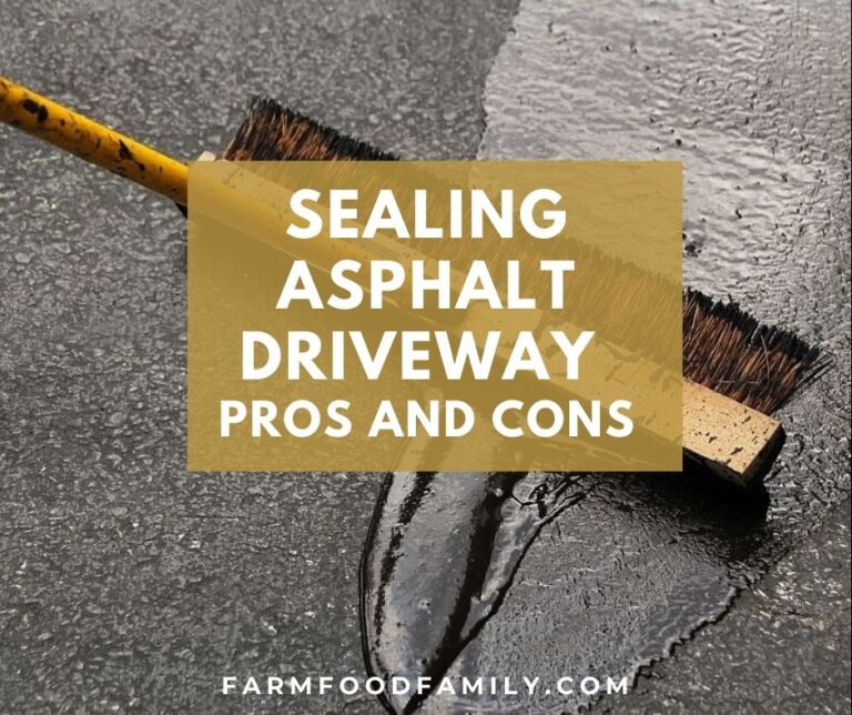 Sealing Asphalt Driveway Pros And Cons
