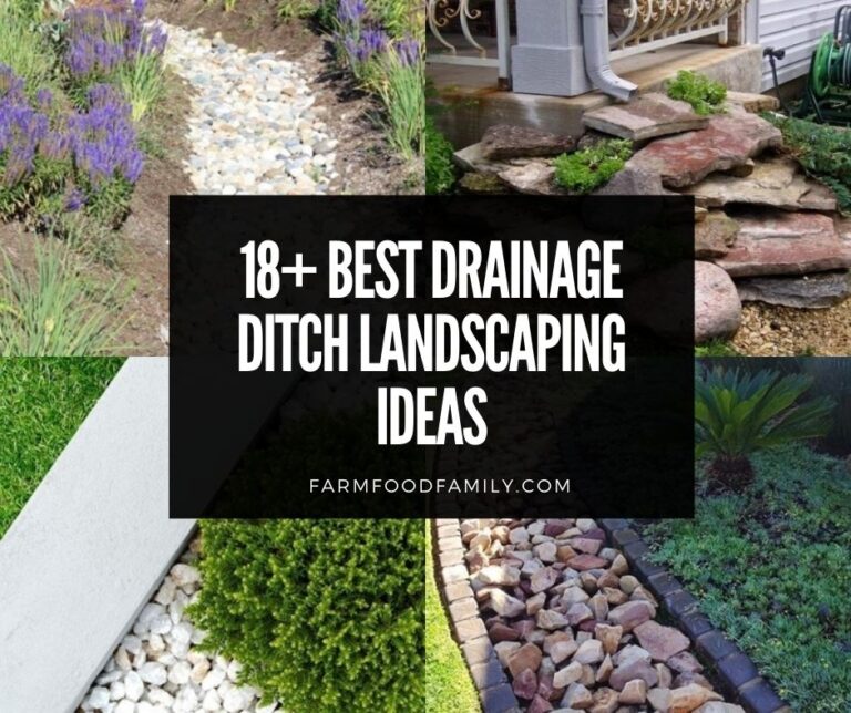18+ Best Drainage Ditch Landscaping Ideas