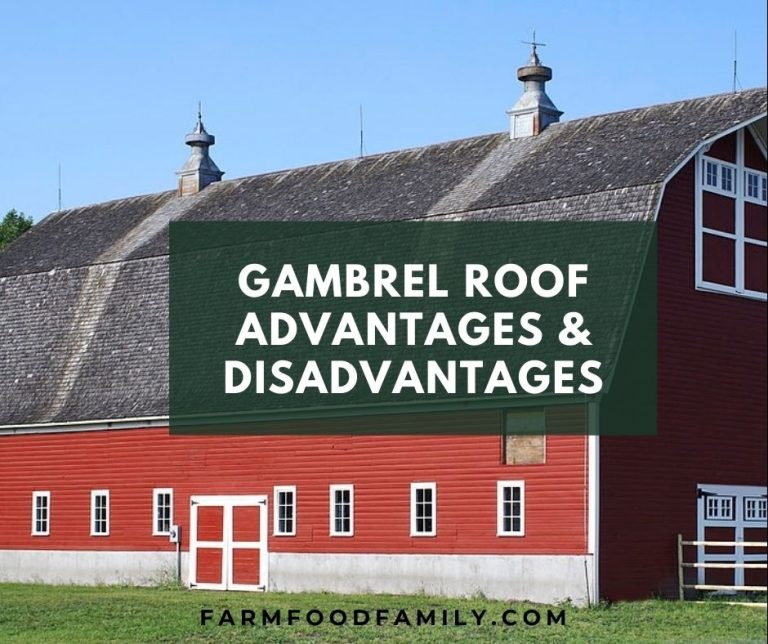 Gambrel Roof Types, Ideas, Calculator, Advantages and Disadvantages