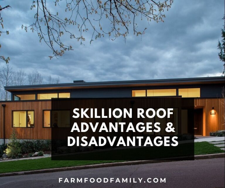 Skillion Roof: Advantages and Disadvantages