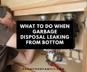 Garbage Disposal Leaking From Bottom: Here's How To Fix It