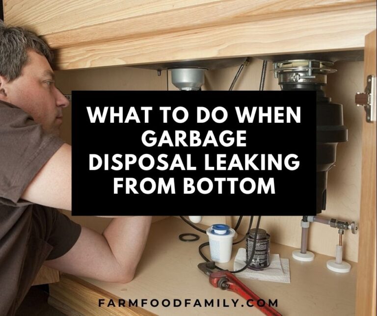 Why Is Garbage Disposal Leaking From Bottom?