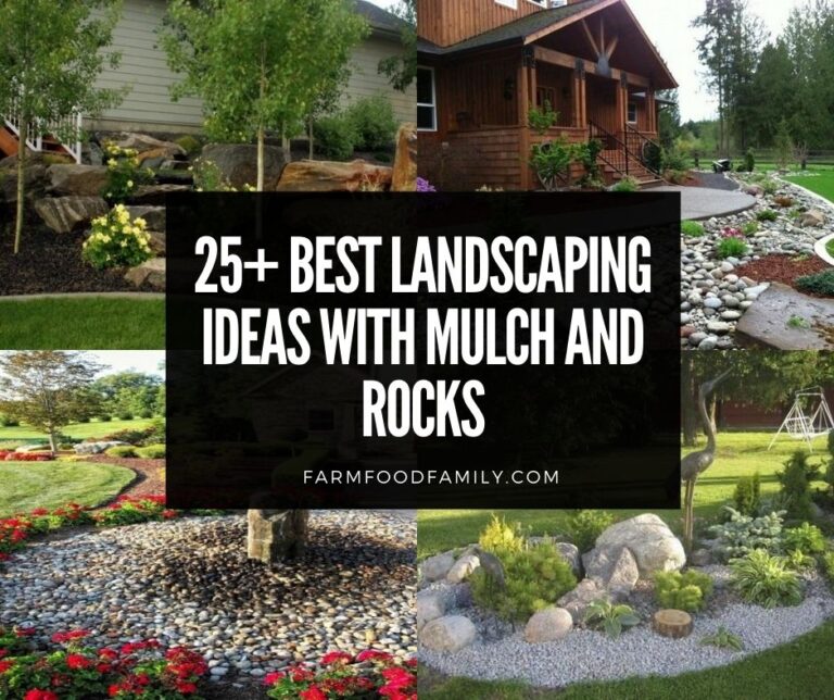 48+ Best Landscaping Ideas With Mulch and Rocks That Actually Hold Up