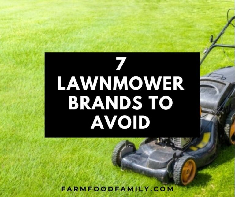 7 Worst Lawn Mower Brands To Avoid