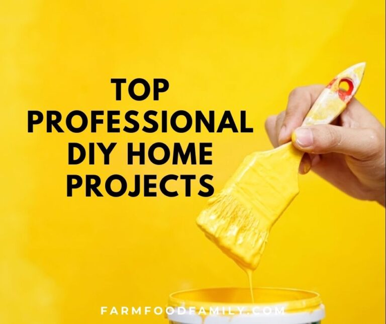Top Professional DIY Home Projects