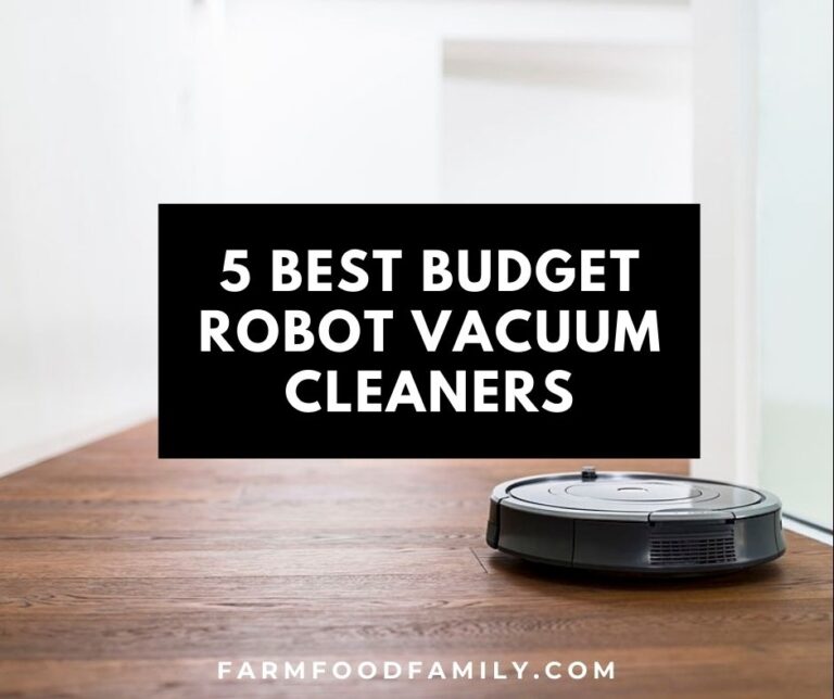 Top 5 Best Budget Robot Vacuum Cleaners