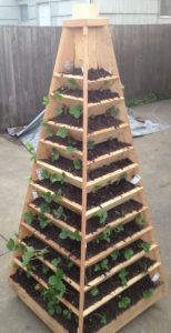 25+ Easy & Inexpensive Waist High Raised Garden Bed Ideas & Plans