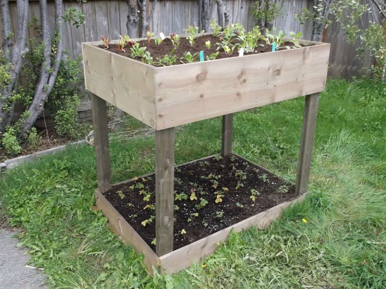 25+ Easy & Inexpensive Waist High Raised Garden Bed Ideas & Plans