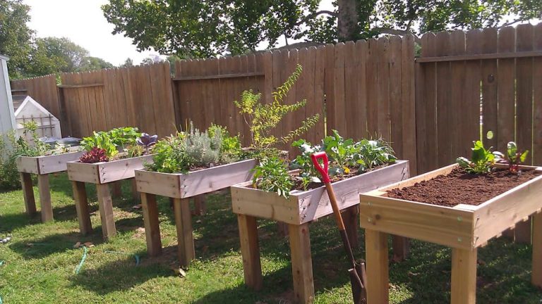 25+ Easy & Inexpensive Waist High Raised Garden Bed Ideas & Plans