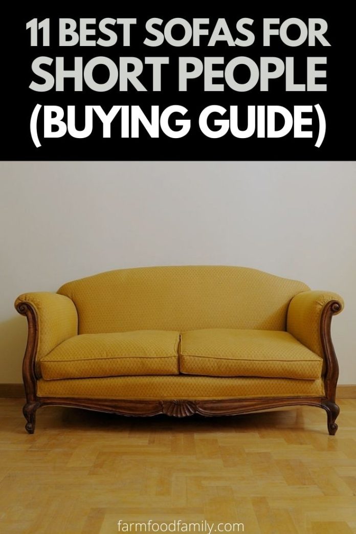 11 Best Sofas & Couches For Short People 2024 and Buying Guide