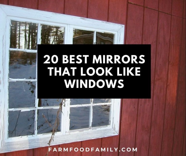 20 Best Mirrors That Look Like Windows (2024) and Buying Guide