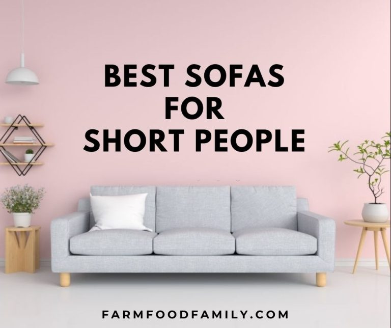 11 Best Sofas & Couches For Short People 2024 and Buying Guide