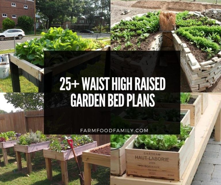 25+ Easy & Inexpensive Waist High Raised Garden Bed Ideas & Plans