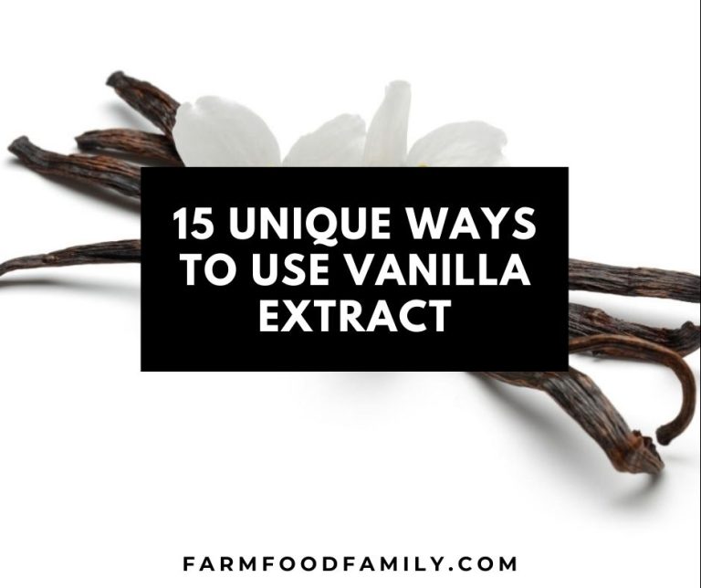 15 Unique Ways to Use Vanilla Extract FarmFoodFamily