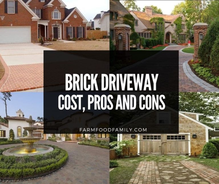 Brick Driveway Cost, Installation, Pros and Cons, Ideas & Designs (2024)