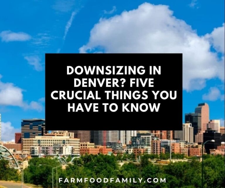 Downsizing in Denver? Five Crucial Things You Have To Know