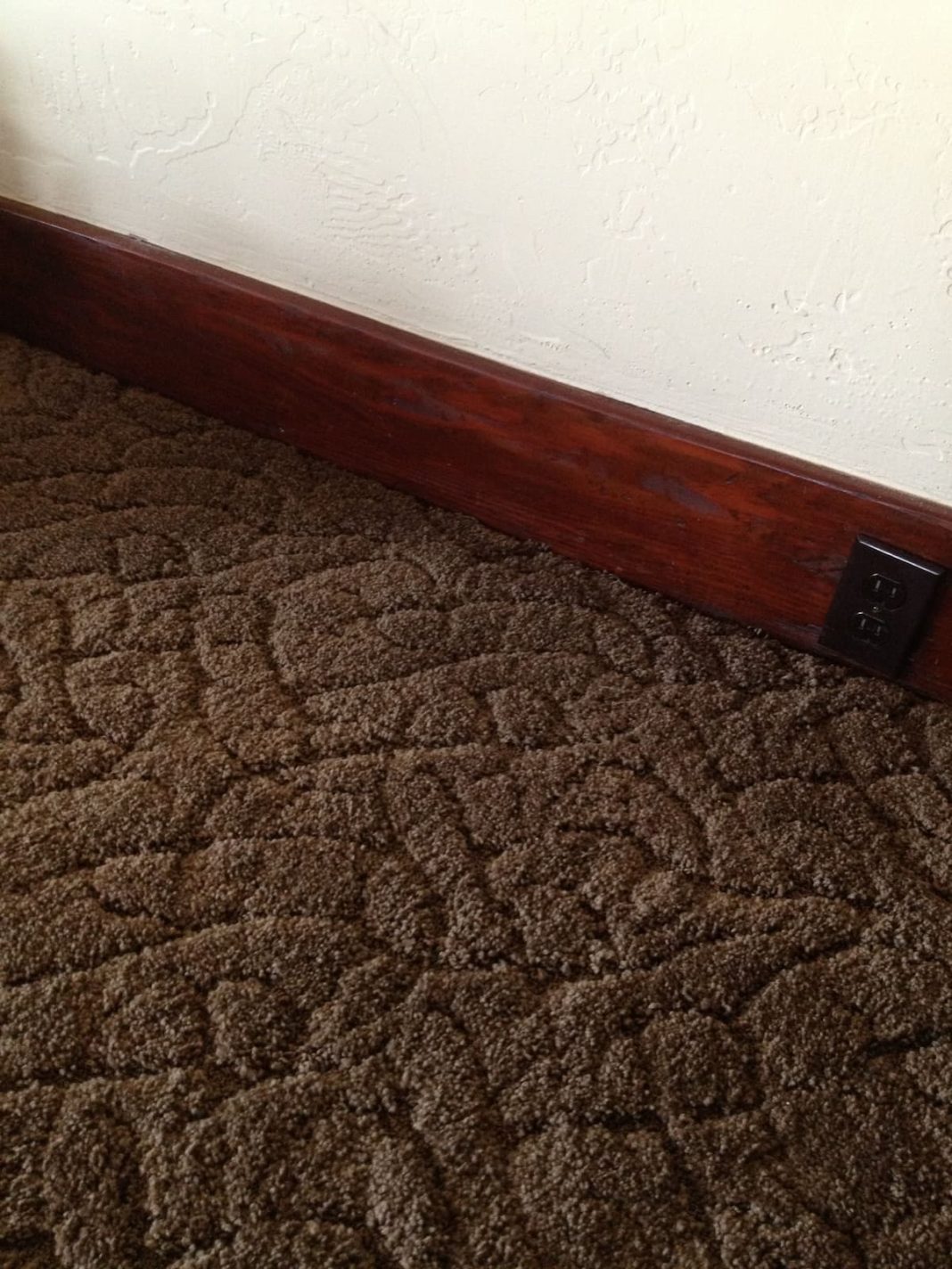 19+ Different Types Of Carpets, Styles, and Pile Options (Buying Guide)