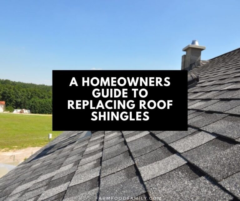 A Homeowners Guide To Replacing Roof Shingles