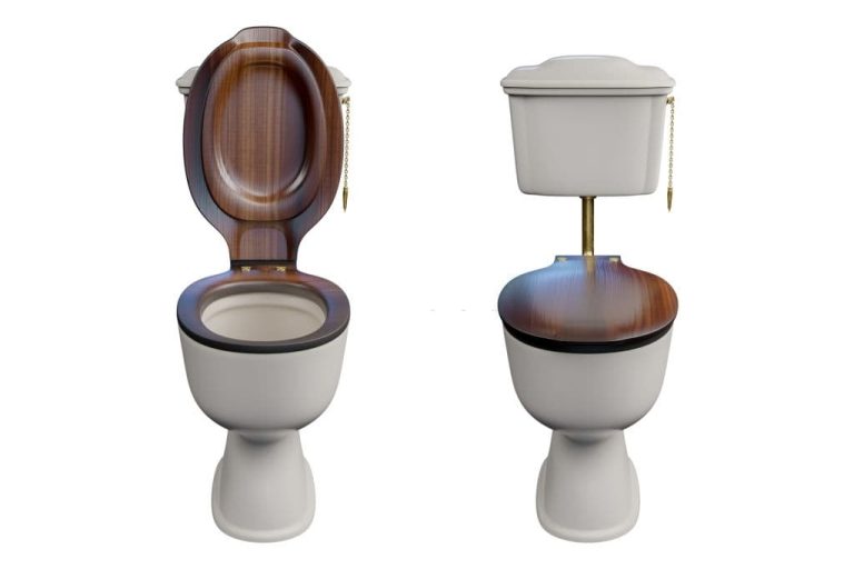 24+ Different Types Of Toilets, Styles, Flush Systems (Buying Guide)